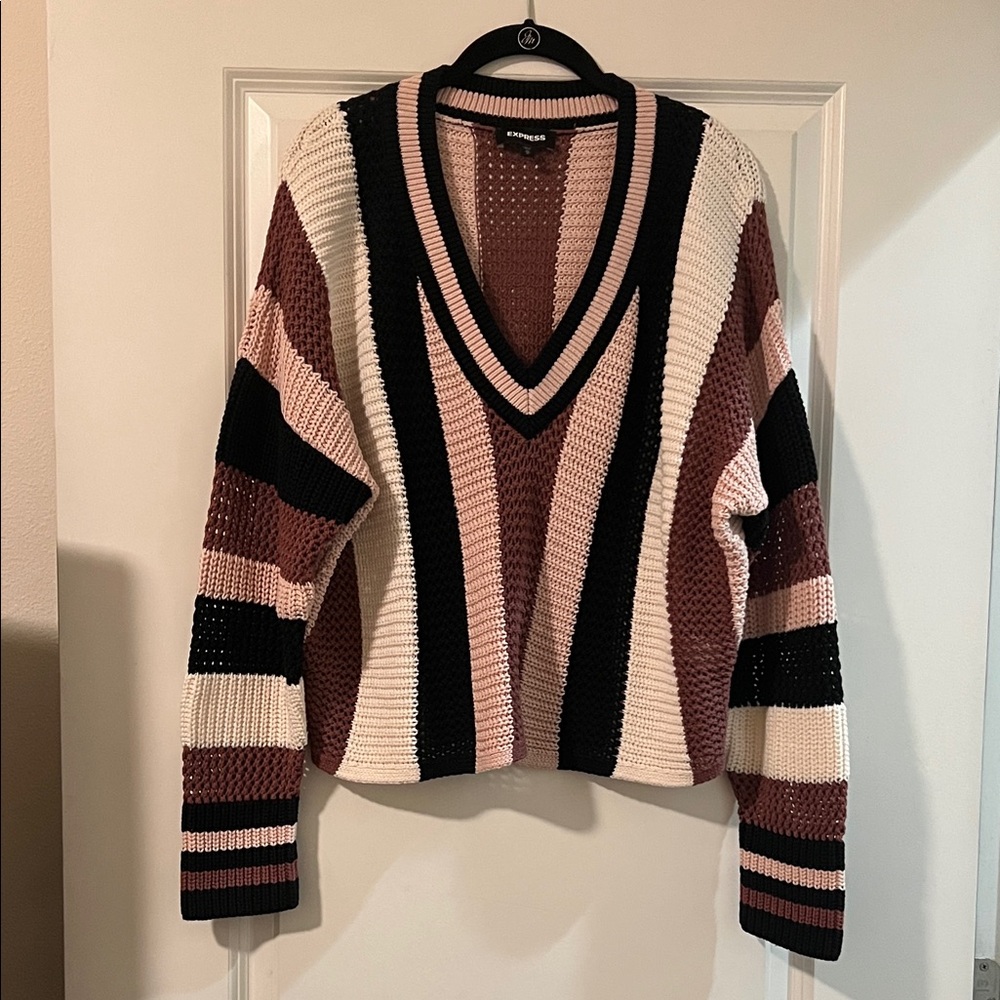 Express V-Neck Sweater